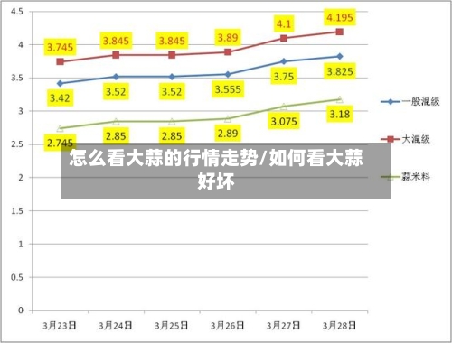怎么看大蒜的行情走势/如何看大蒜好坏