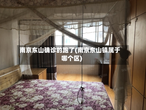 南京东山确诊的跑了(南京东山镇属于哪个区)