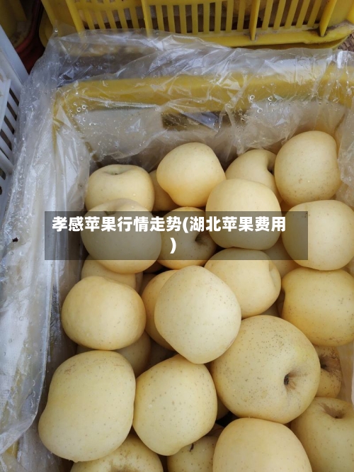 孝感苹果行情走势(湖北苹果费用)
