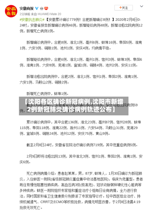 【沈阳各区确诊新冠病例,沈阳市新增2例新冠肺炎确诊病例轨迹公布】