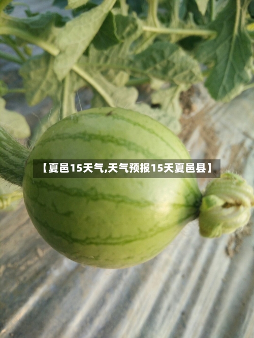 【夏邑15天气,天气预报15天夏邑县】