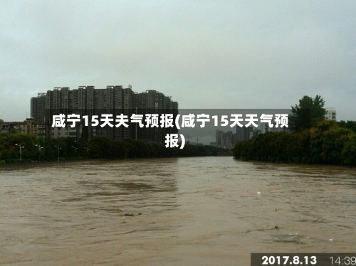 咸宁15天夫气预报(咸宁15天天气预报)