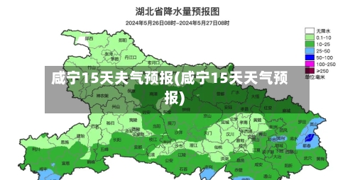 咸宁15天夫气预报(咸宁15天天气预报)