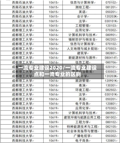 一流专业建设2020/一流专业建设点和一流专业的区别