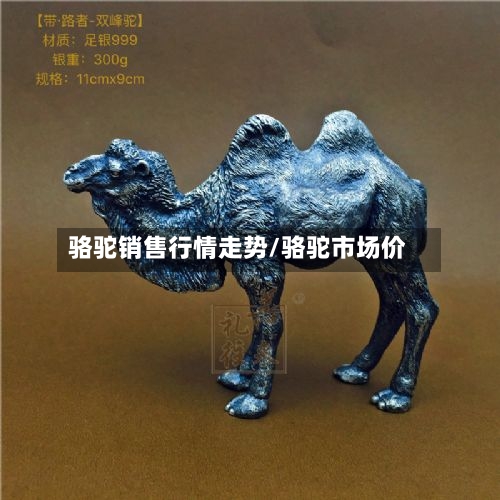 骆驼销售行情走势/骆驼市场价