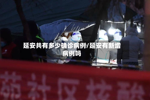 延安共有多少确诊病例/延安有新增病例吗