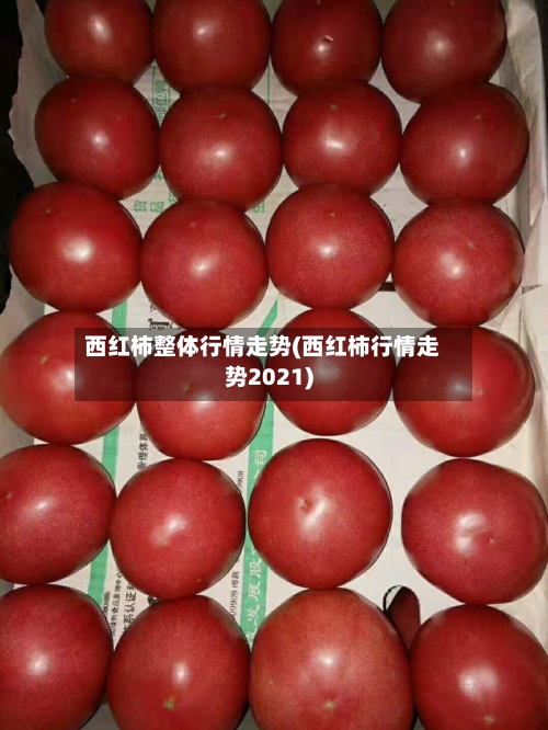 西红柿整体行情走势(西红柿行情走势2021)