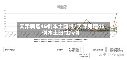 天津新增45例本土阳性/天津新增45例本土阳性病例