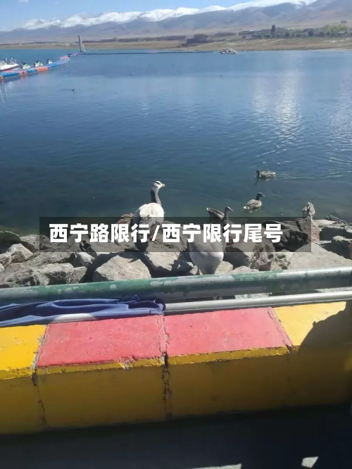 西宁路限行/西宁限行尾号