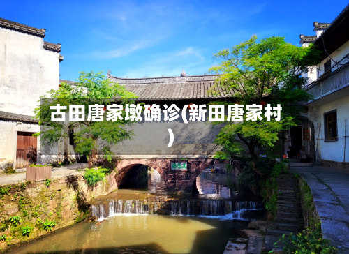 古田唐家墩确诊(新田唐家村)