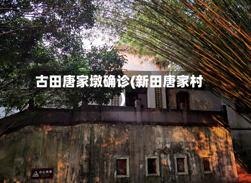 古田唐家墩确诊(新田唐家村)