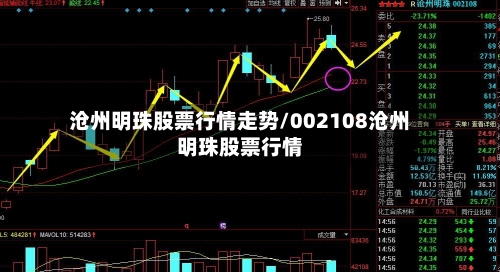 沧州明珠股票行情走势/002108沧州明珠股票行情