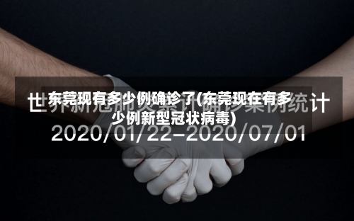 东莞现有多少例确诊了(东莞现在有多少例新型冠状病毒)