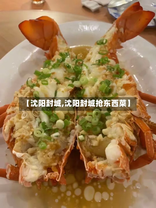 【沈阳封城,沈阳封城抢东西菜】