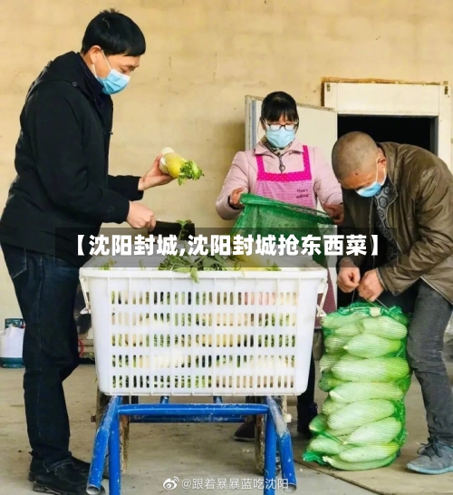 【沈阳封城,沈阳封城抢东西菜】