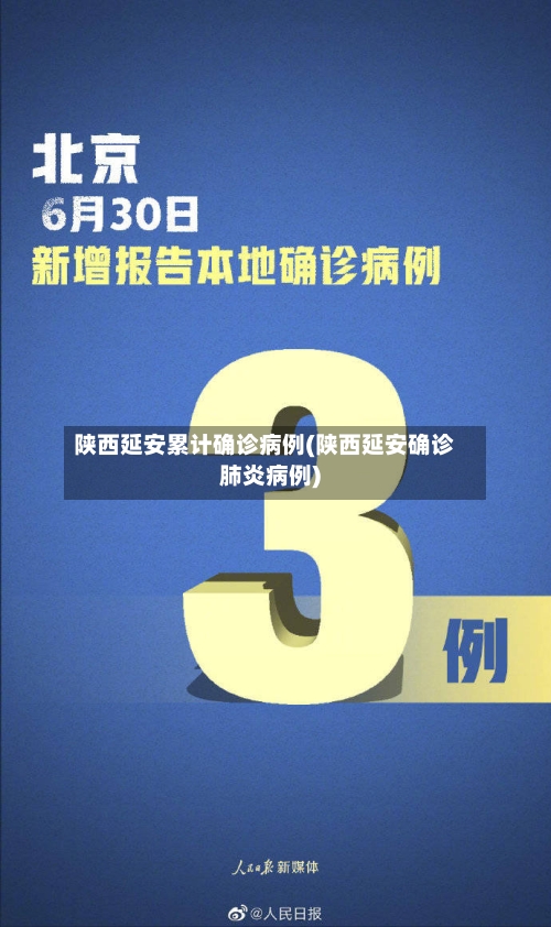 陕西延安累计确诊病例(陕西延安确诊肺炎病例)