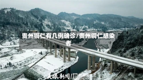 贵州铜仁有几例确诊/贵州铜仁感染者