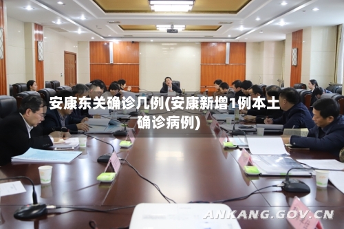 安康东关确诊几例(安康新增1例本土确诊病例)