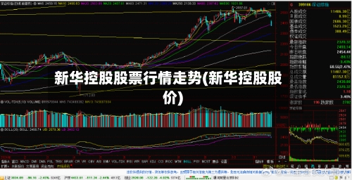 新华控股股票行情走势(新华控股股价)