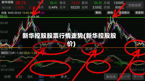 新华控股股票行情走势(新华控股股价)