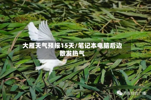 大雁天气预报15天/笔记本电脑后边散发热气