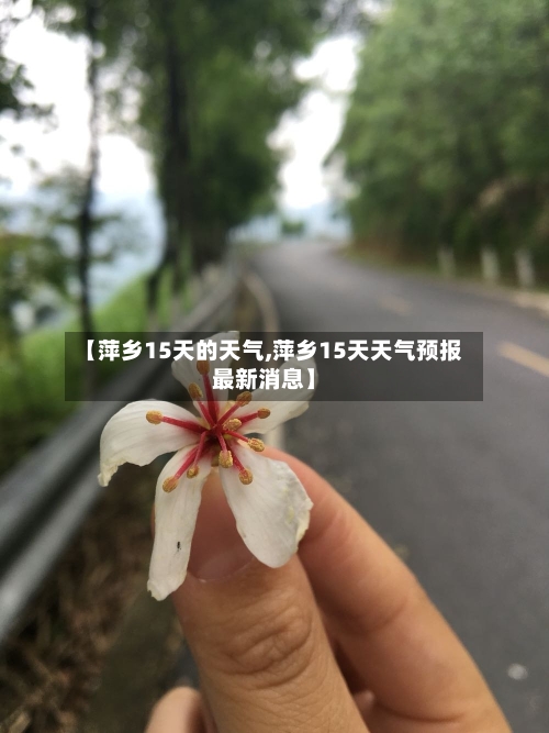 【萍乡15天的天气,萍乡15天天气预报最新消息】