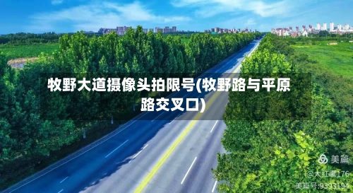 牧野大道摄像头拍限号(牧野路与平原路交叉口)