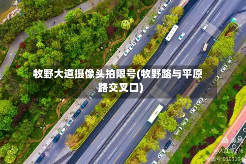 牧野大道摄像头拍限号(牧野路与平原路交叉口)