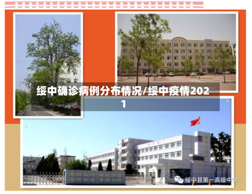 绥中确诊病例分布情况/绥中疫情2021