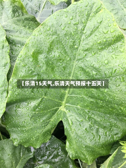 【乐清15天气,乐清天气预报十五天】