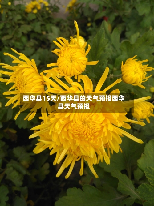 西华县15天/西华县的天气预报西华县天气预报