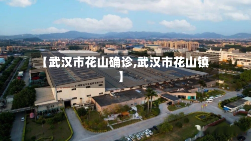 【武汉市花山确诊,武汉市花山镇】