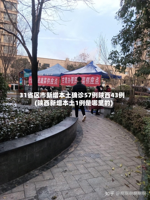 31省区市新增本土确诊57例陕西43例(陕西新增本土1例是哪里的)