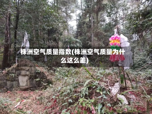 株洲空气质量指数(株洲空气质量为什么这么差)