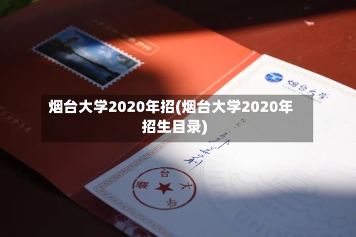 烟台大学2020年招(烟台大学2020年招生目录)