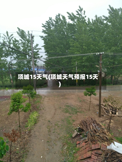项城15天气(项城天气预报15天)