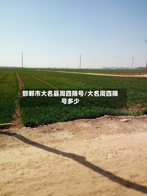 邯郸市大名县周四限号/大名周四限号多少