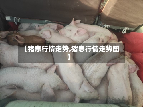 【猪崽行情走势,猪崽行情走势图】