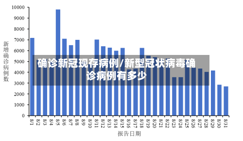 确诊新冠现存病例/新型冠状病毒确诊病例有多少
