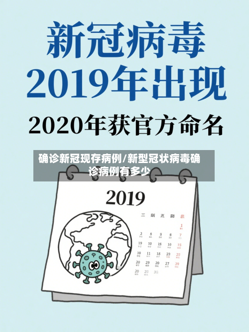 确诊新冠现存病例/新型冠状病毒确诊病例有多少