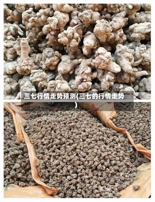 三七行情走势预测(三七的行情走势)