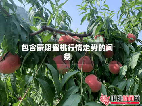 包含蒙阴蜜桃行情走势的词条