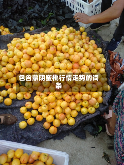 包含蒙阴蜜桃行情走势的词条
