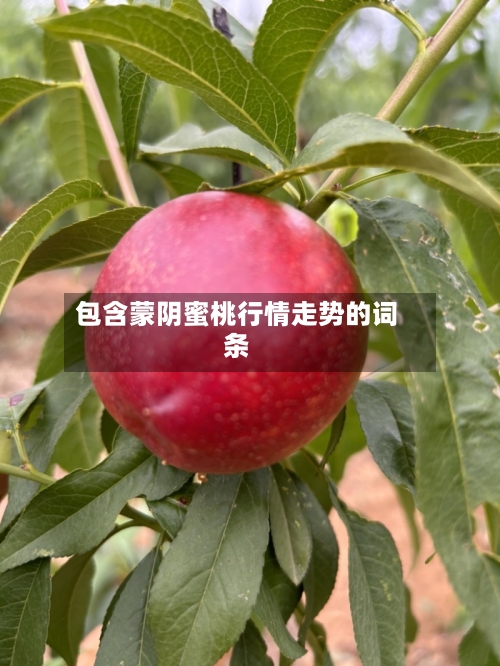 包含蒙阴蜜桃行情走势的词条