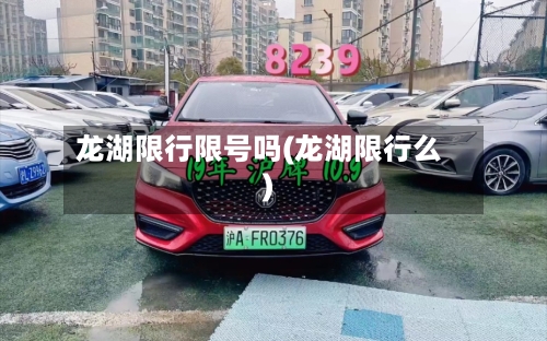 龙湖限行限号吗(龙湖限行么)