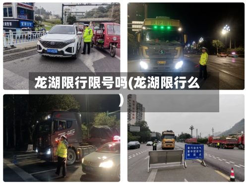 龙湖限行限号吗(龙湖限行么)