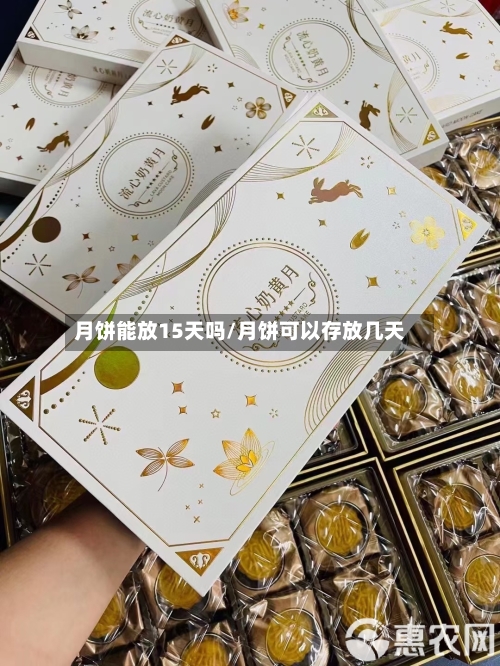 月饼能放15天吗/月饼可以存放几天