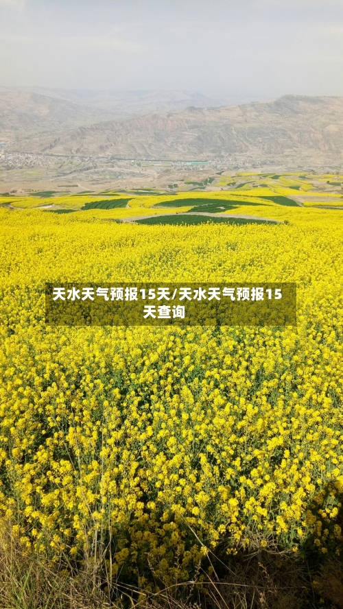 天水天气预报15天/天水天气预报15天查询