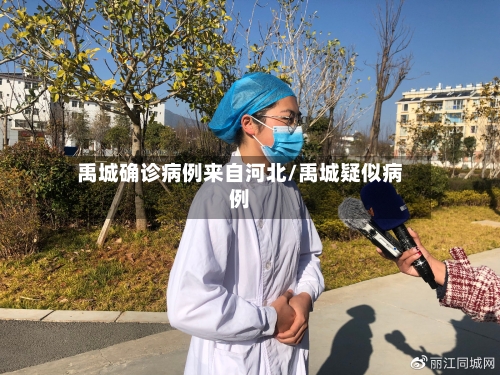 禹城确诊病例来自河北/禹城疑似病例