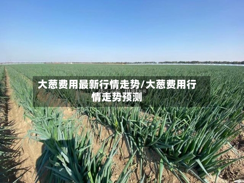 大葱费用最新行情走势/大葱费用行情走势预测